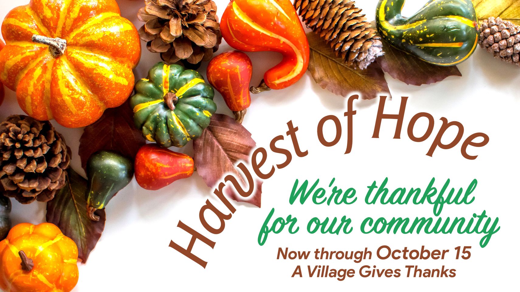 2022 10 15 VoH Thanksgiving Hamper Program.jpg