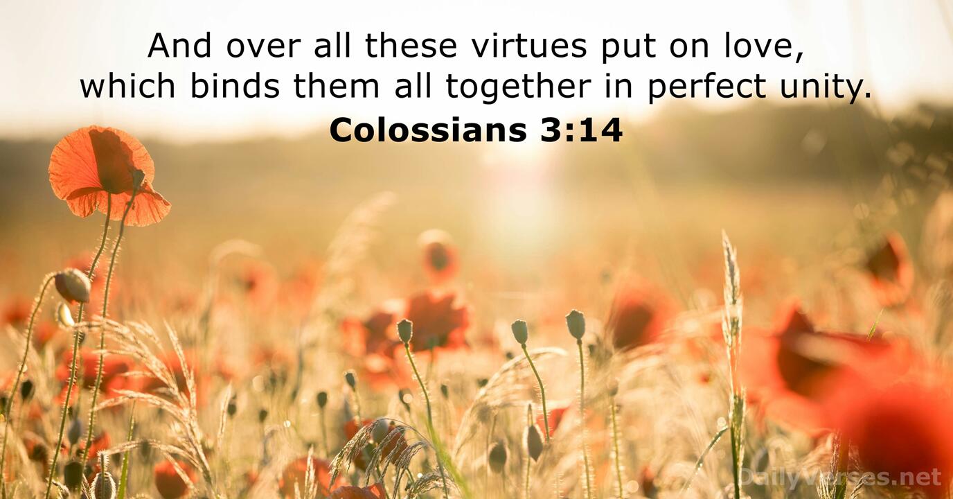 colossians-3-14-3.jpg