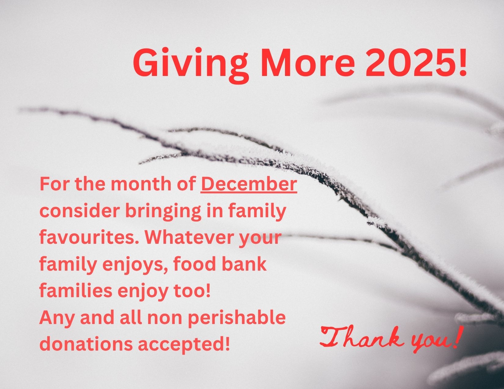 giving-more-2025-december.jpg