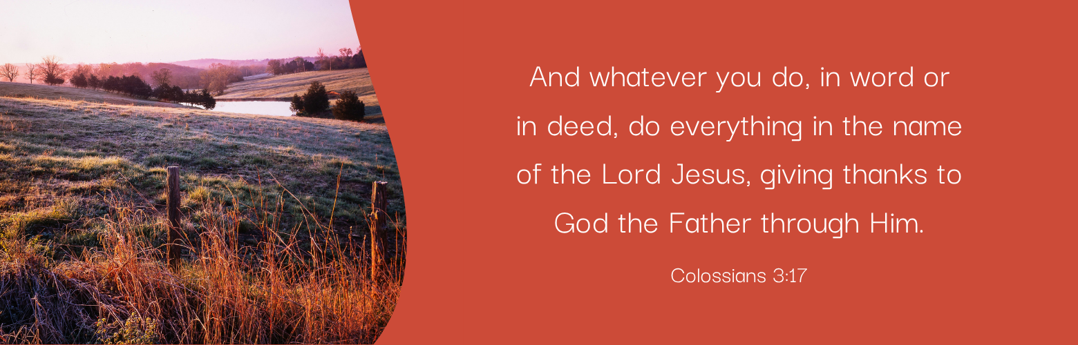 unnamed - 2025-11-13T141224.267.png